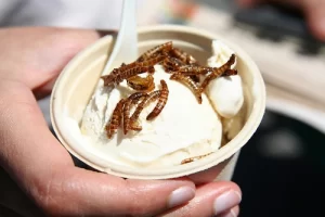 mealworm icecream