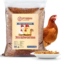 Insect Feed for Animals & Pet Food