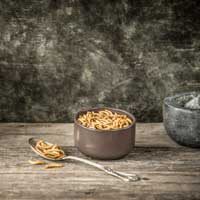 mealworms in a bowl